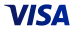 7. visa logo